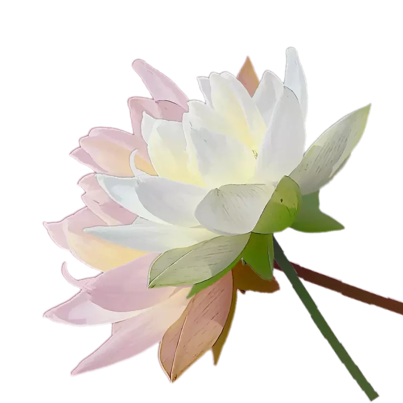 Flottaison